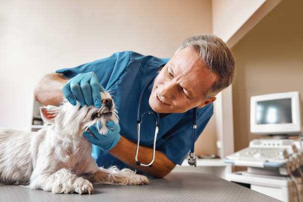 Best Pediatric Emergency Dentist in Memphis, TX