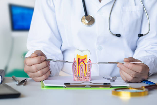 Best Emergency Dental Care for Abscessed Tooth in Memphis, TX